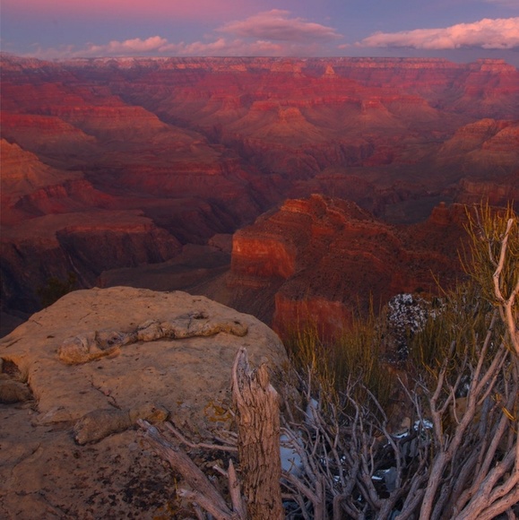 Meet your Posher, Sabine - Picture 1 of 1